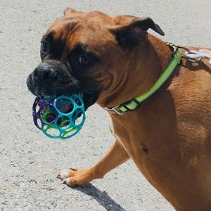 Meet your Posher, Mackenzie